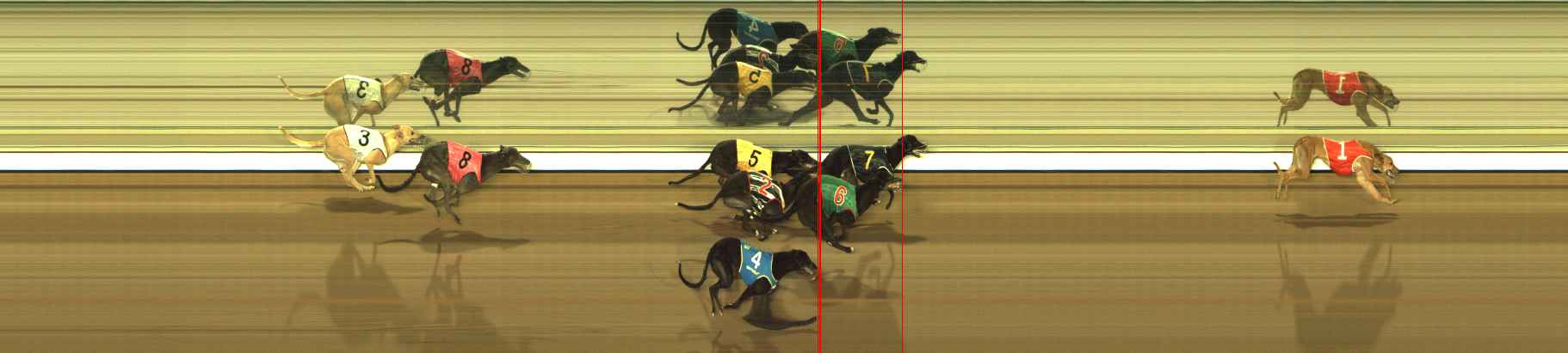 Race result finish photo